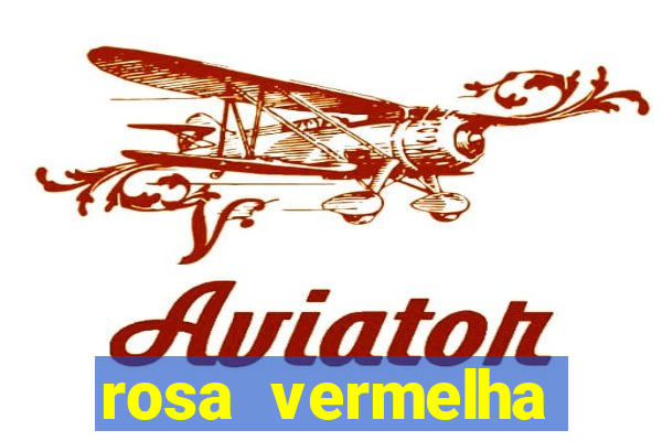 rosa vermelha (letra e cifra)